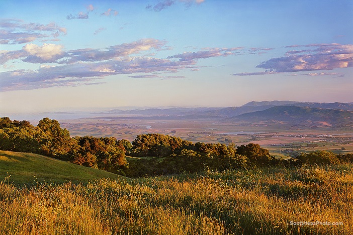 View of Petaluma valley and river from Lafferty