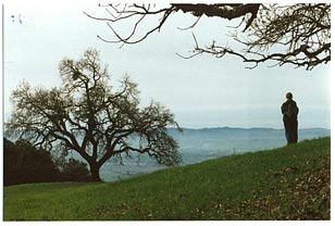 Contemplative hiker enjoying the view from Laffety; photo by Bruce Hagen 