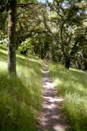 Beckoning trail