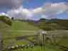 Lafferty gate image by Connie Madden, thumbnail